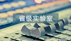 66体育欧洲杯图片